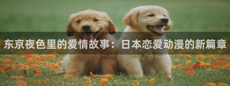 囧次元官方正版：东京夜色里的爱情故事：日本恋爱动漫的新篇章