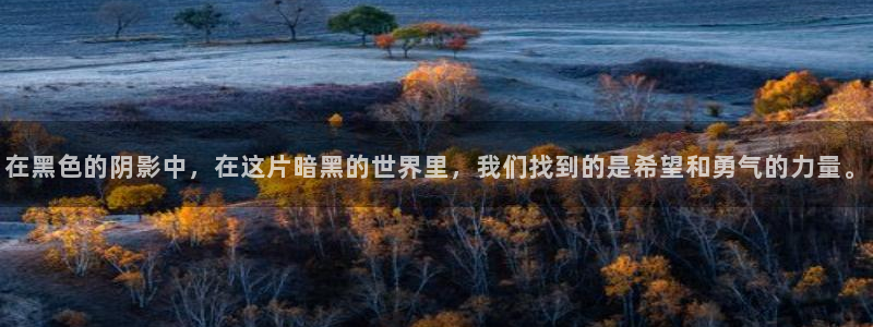 囧次元是什么：在黑色的阴影中，在这片暗黑的世界里，我们找到的是希望和勇气的力量。