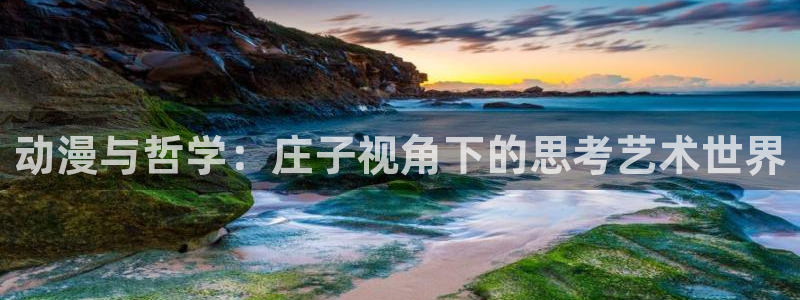 囧次元.apk：动漫与哲学：庄子视角下的思考艺术世界