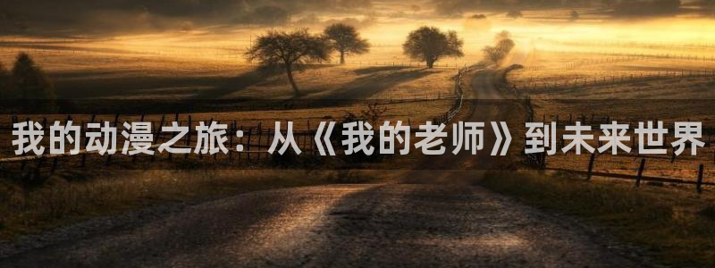 囧次元tv版：我的动漫之旅：从《我的老师》到未来世界