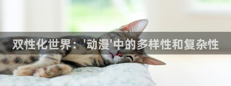 囧次元 翻译：双性化世界：\'动漫\'中的多样性和复杂性