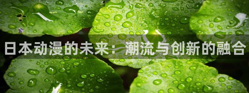囧次元大全：日本动漫的未来：潮流与创新的融合