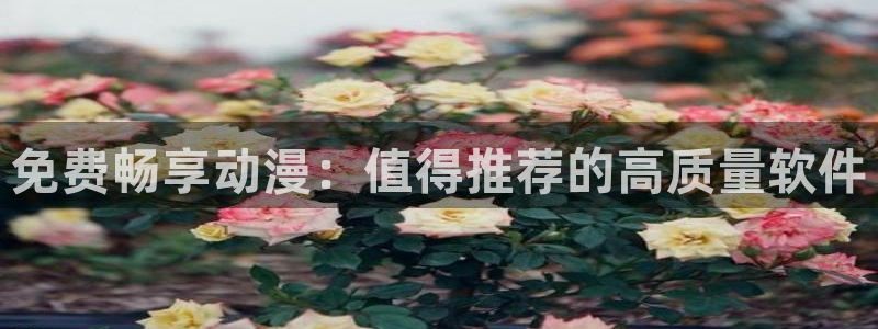 www.囧次元：免费畅享动漫：值得推荐的高质量软件
