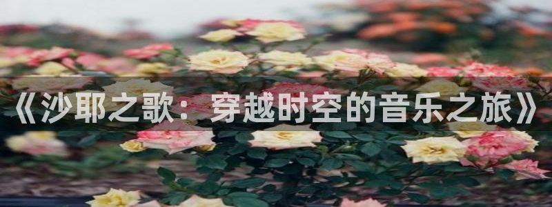 囧次元app最新：《沙耶之歌：穿越时空的音乐之旅》