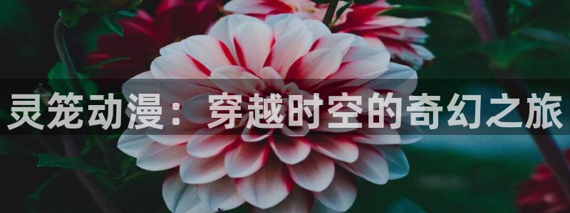 囧次元正版入口：灵笼动漫：穿越时空的奇幻之旅